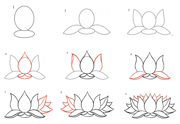 A detailed lotus flower Drawing Ideas