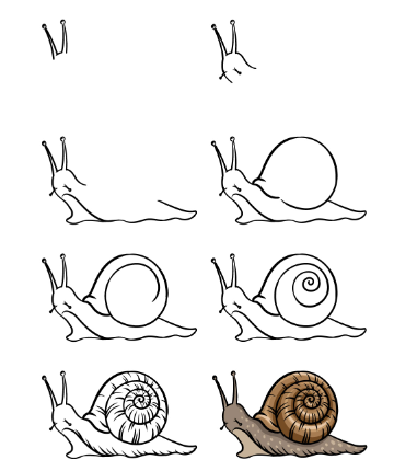 A detailed snail Drawing Ideas