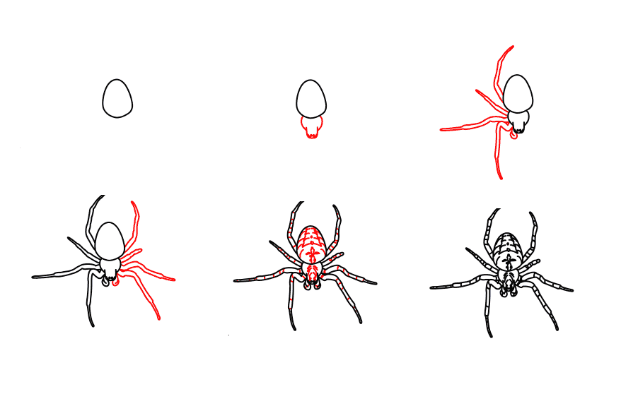 A detailed step-by-step spider Drawing Ideas