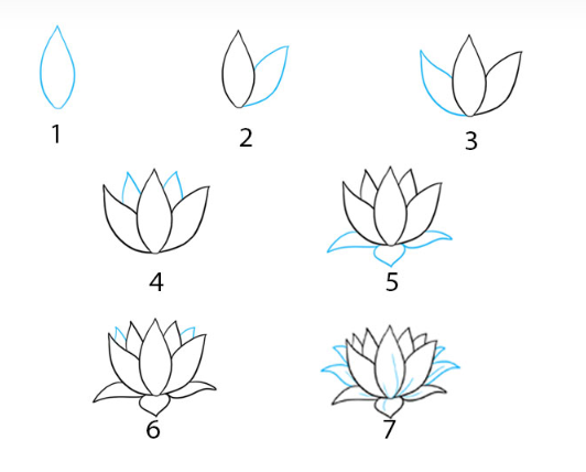 A lotus flower begins to bloom Drawing Ideas
