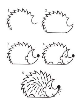 A simple hedgehog Drawing Ideas