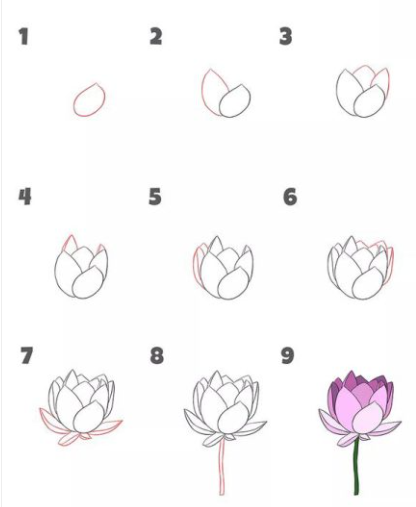 How to Draw a Lotus Flower: 7 Steps (with Pictures) - wikiHow