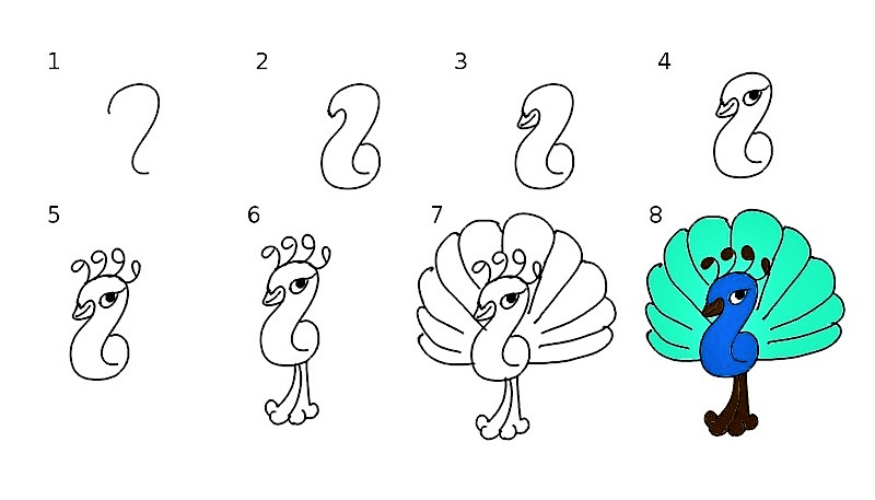 A simple peacock Drawing Ideas