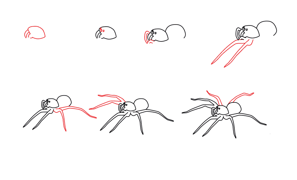 A simple step by step spider Drawing Ideas