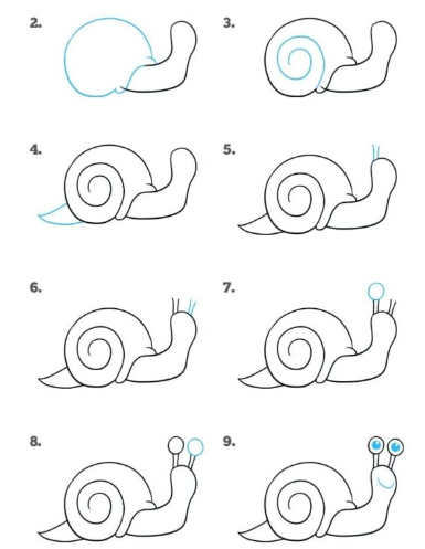 A snail step by step Drawing Ideas