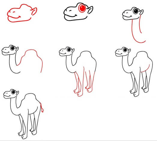 How to draw Big-eyed camel