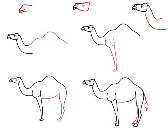 Camel easy Drawing Ideas