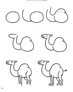 How to draw Camel idea (2)