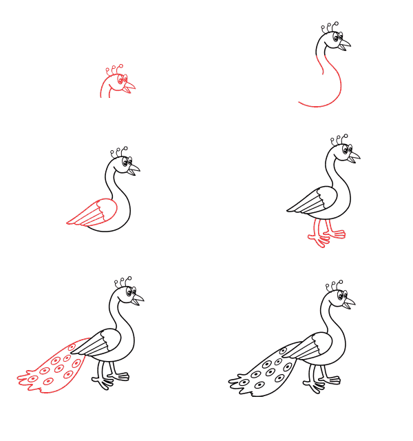 How to draw Cartoon peacock