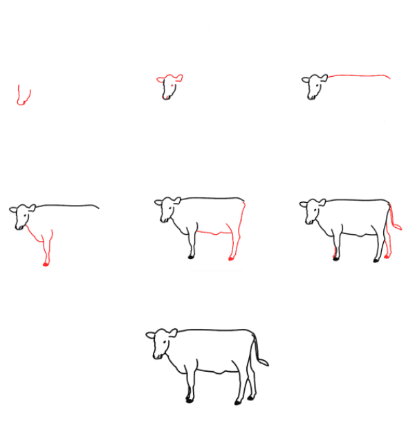 How to draw Cow