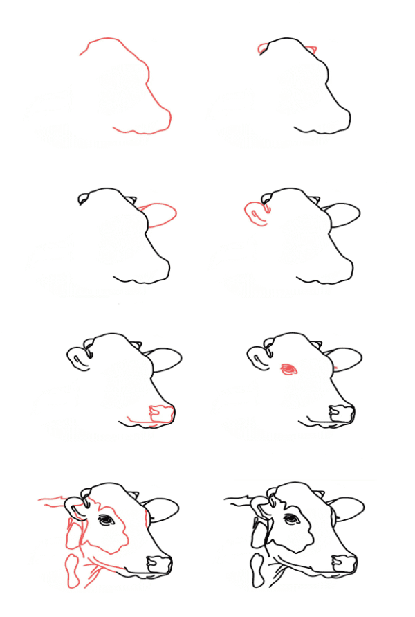 How to draw Cow head
