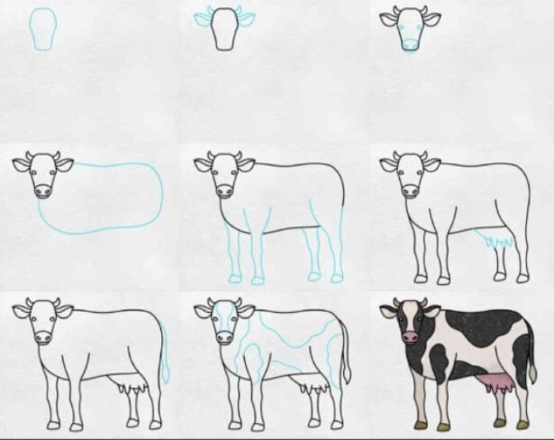 How to draw Cow idea (1)