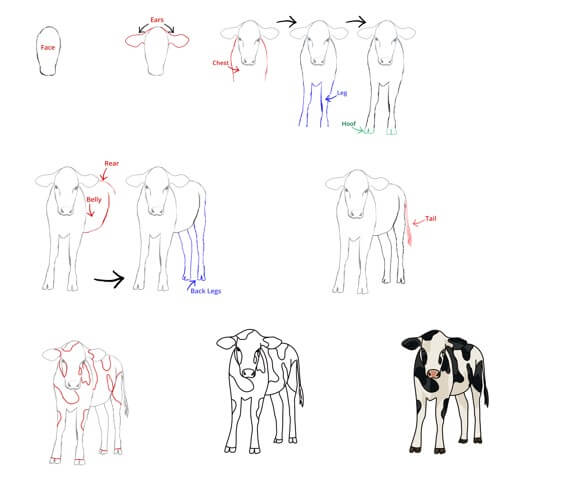 How to draw Cow idea (8)