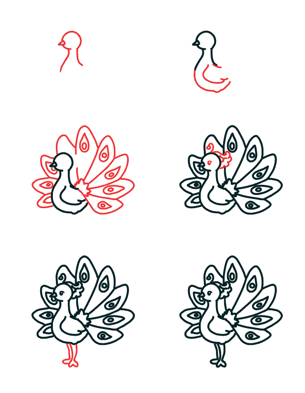 How to draw Cute peacock