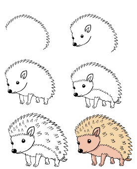 Hedgehog Drawing Ideas