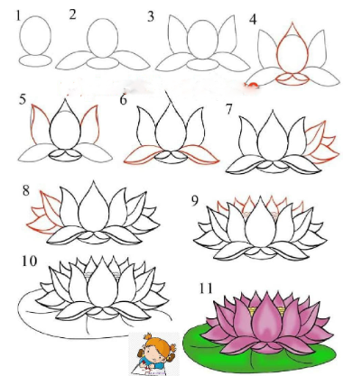 Lotus idea 6 Drawing Ideas