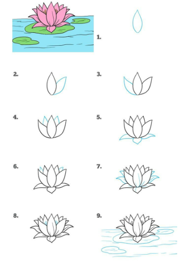Lotus idea 7 Drawing Ideas