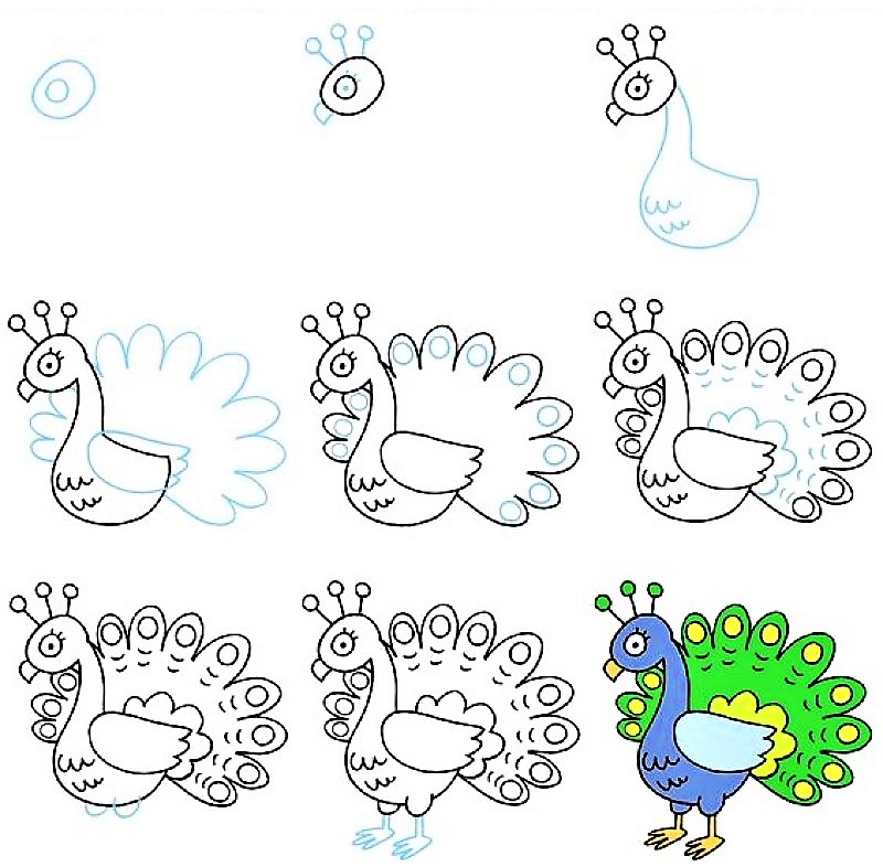 Peacock idea 14 Drawing Ideas
