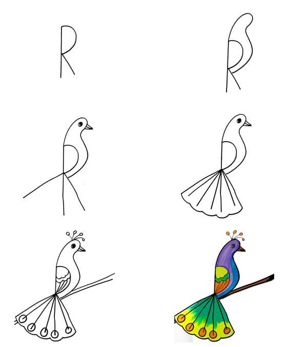 Peacock idea (19) Drawing Ideas