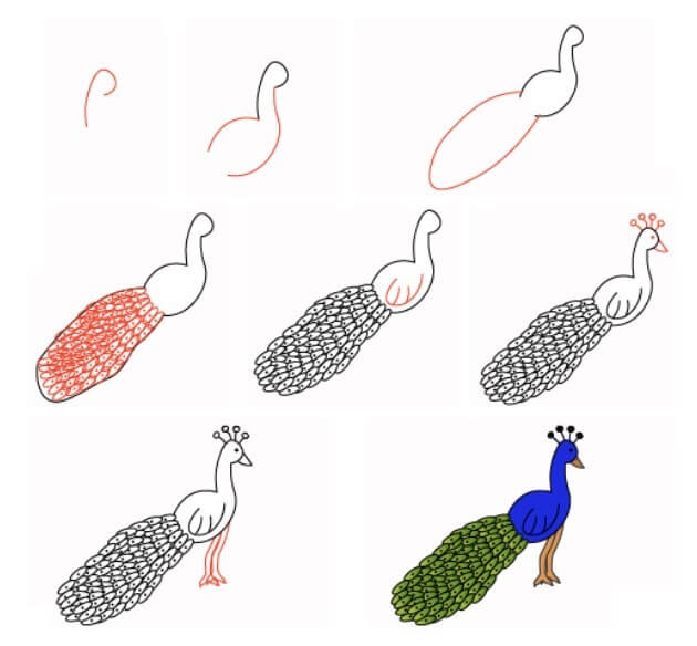 Peacock idea (20) Drawing Ideas
