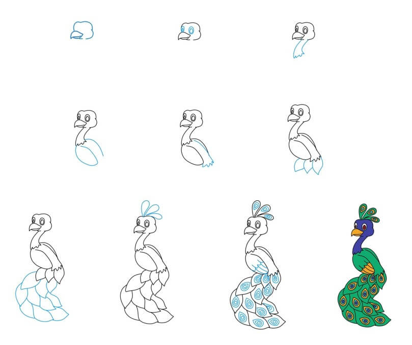 How to draw Peacock idea (28)