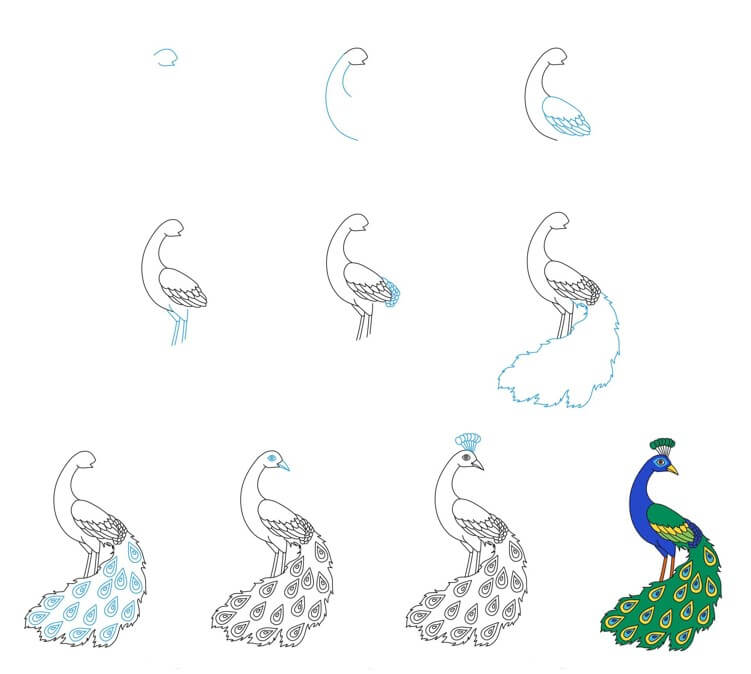 How to draw Peacock idea (30)