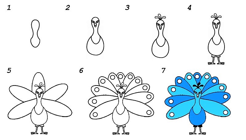 Peacock idea 6 Drawing Ideas