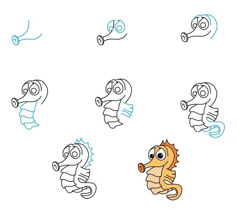 How to draw Seahorse (5)