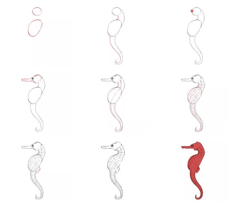 How to draw Seahorse (7)