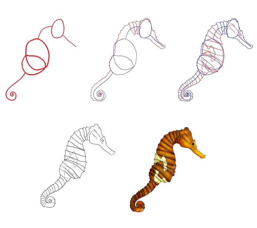 Seahorse (9) Drawing Ideas