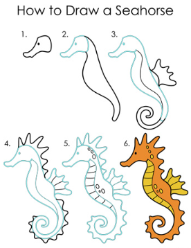 Seahorse idea 11 Drawing Ideas