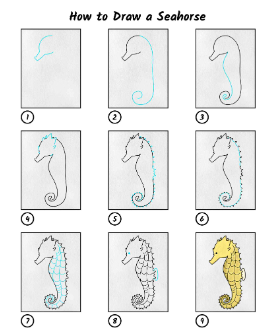 Seahorse idea 9 Drawing Ideas