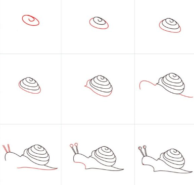 Snail idea 13 Drawing Ideas