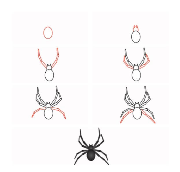 How to draw Spider idea (10)