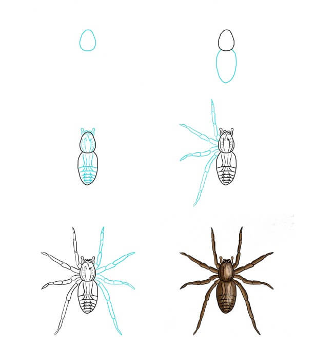 How to draw Spider idea (15)