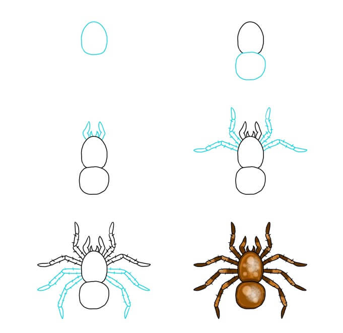 How to draw Spider idea (17)