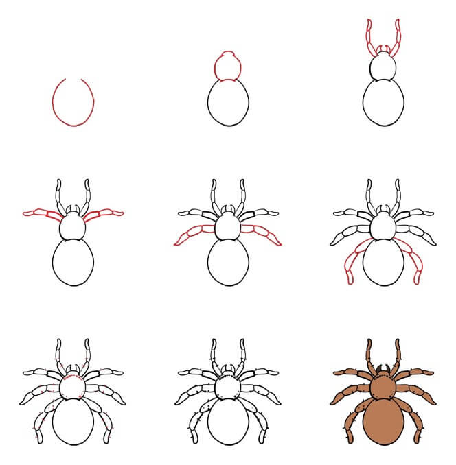 How to draw Spider idea (19)