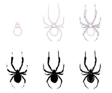 How to draw Spider idea (2)