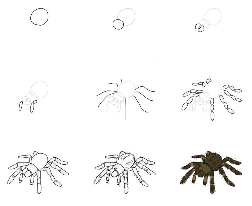 How to draw Spider idea (23)