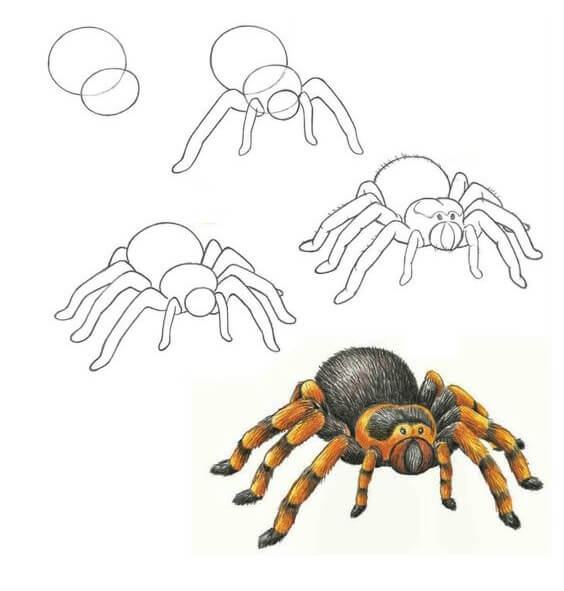 How to draw Spider idea (4)