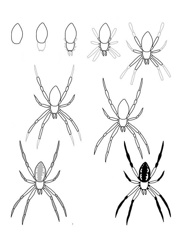 Spider idea 5 Drawing Ideas