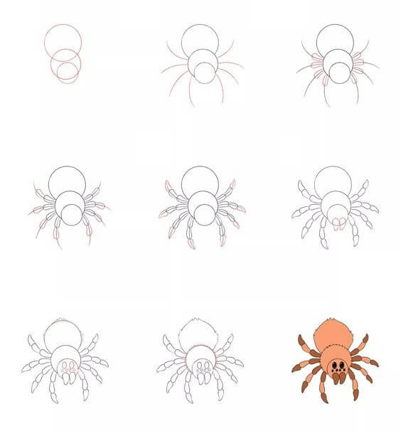 How to draw Spider idea (5)