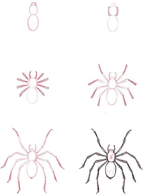 How to draw Spider idea (7)