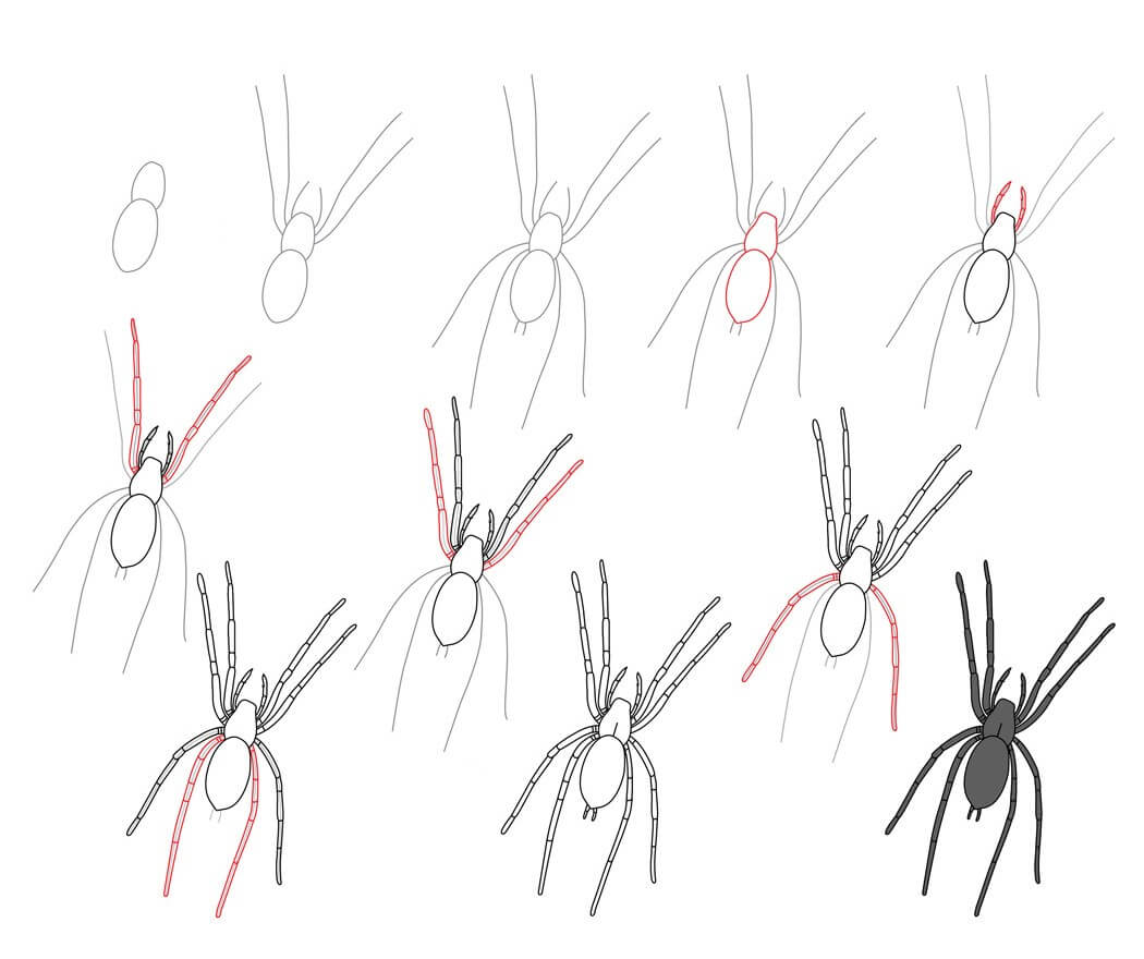 How to draw Spider idea (9)