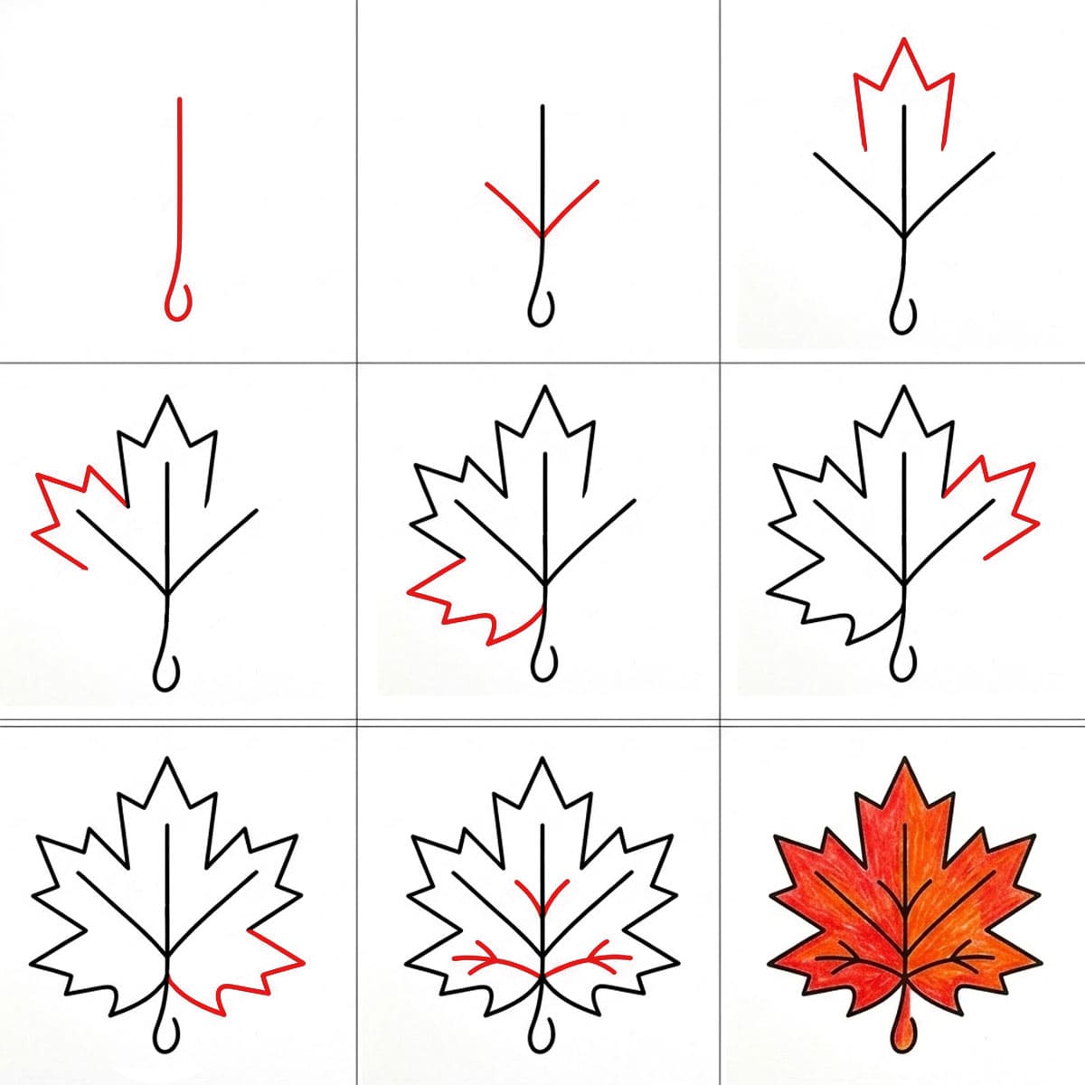 Basic Maple Leaf Drawing Ideas