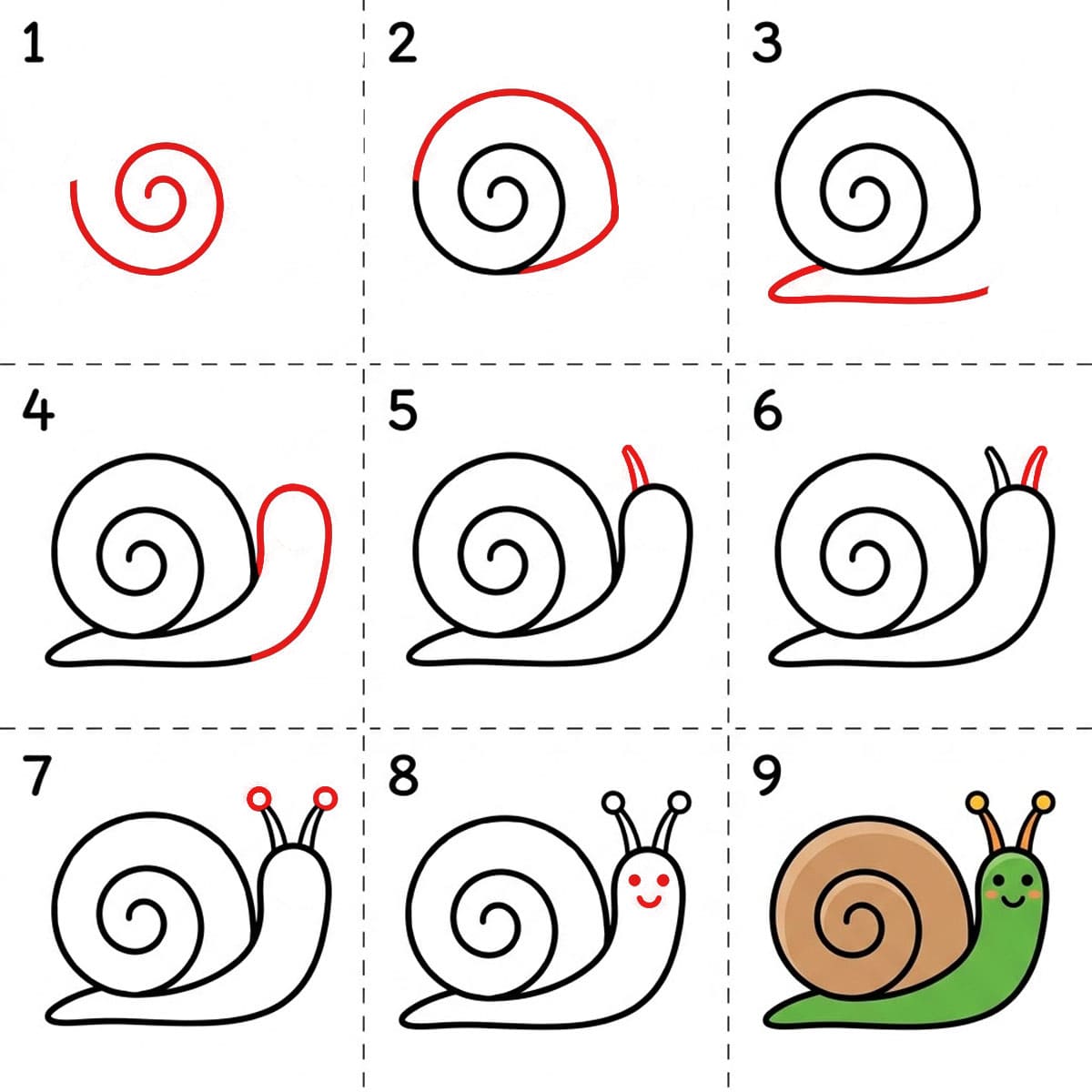 Basic Snail Drawing Ideas