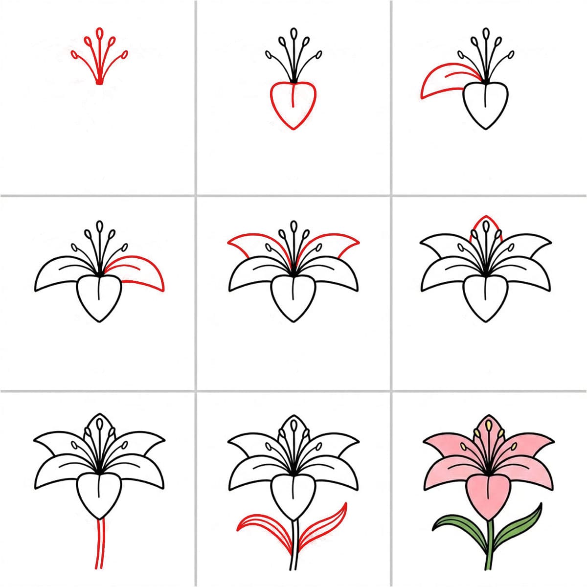 Bold Lily Drawing Ideas
