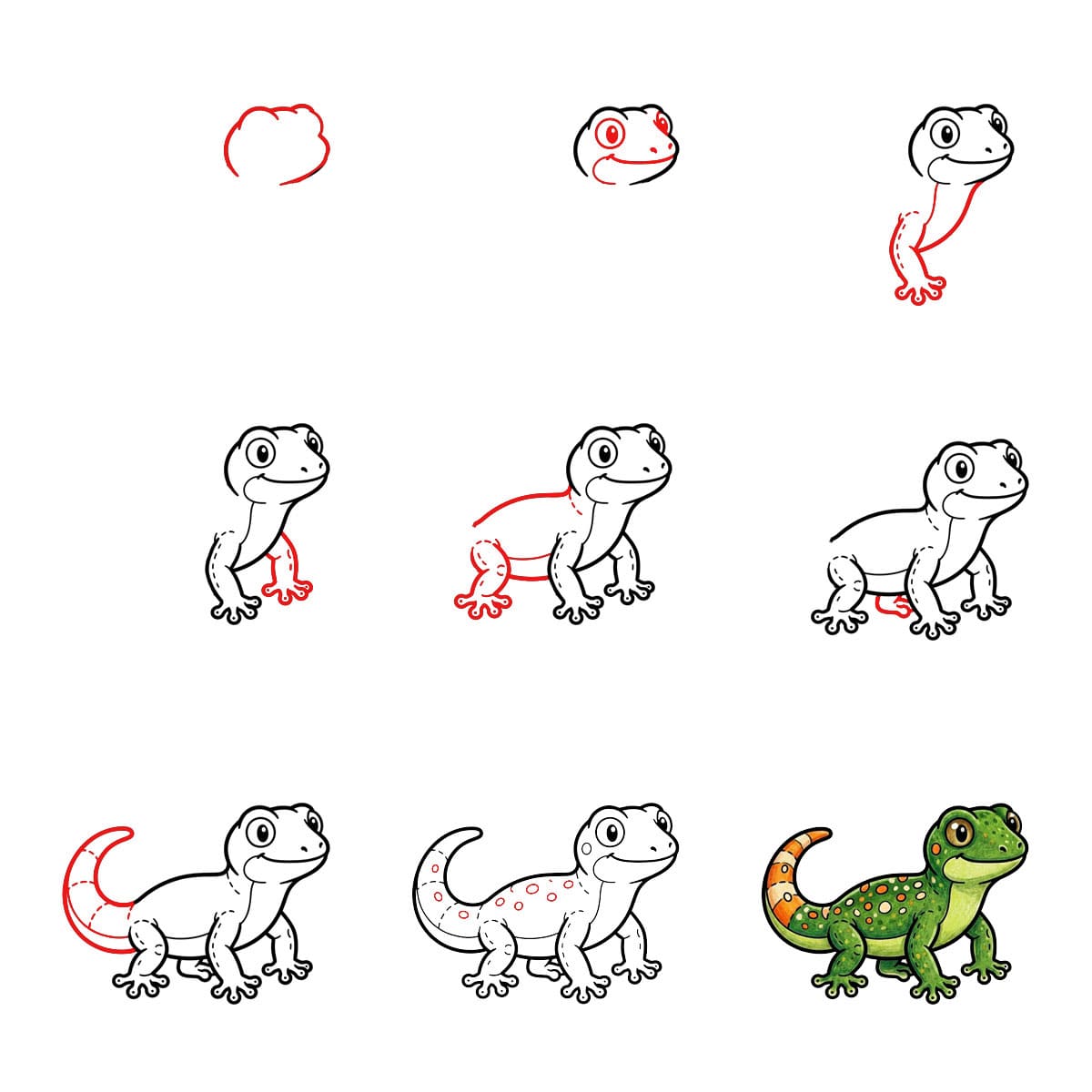 How to draw Broad Back Gecko