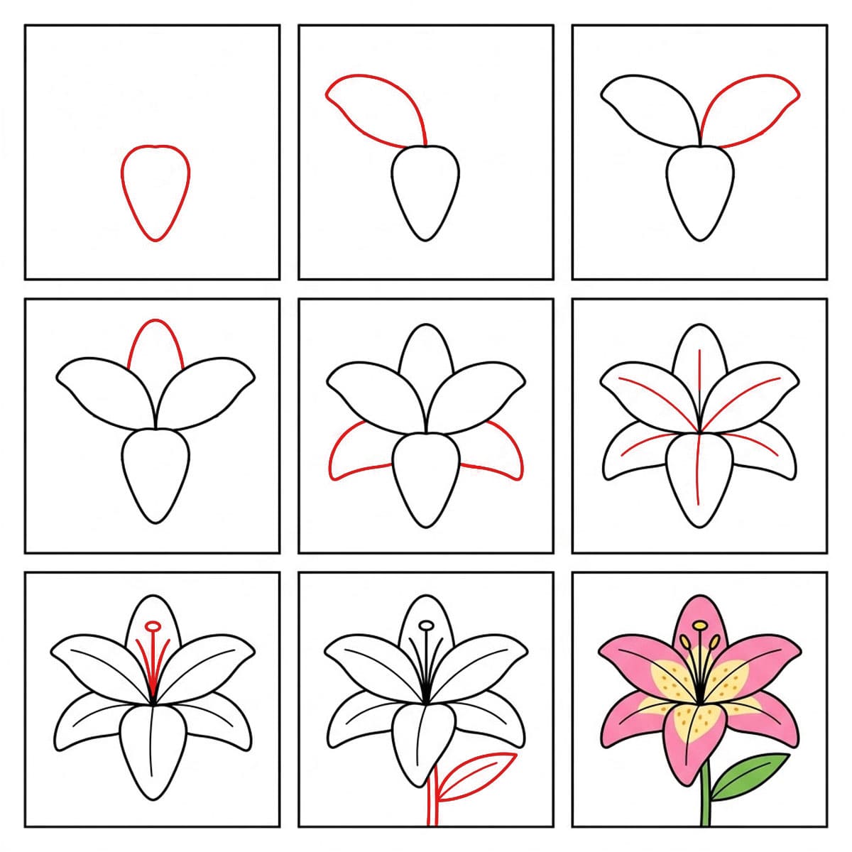 Charming Lily Drawing Ideas