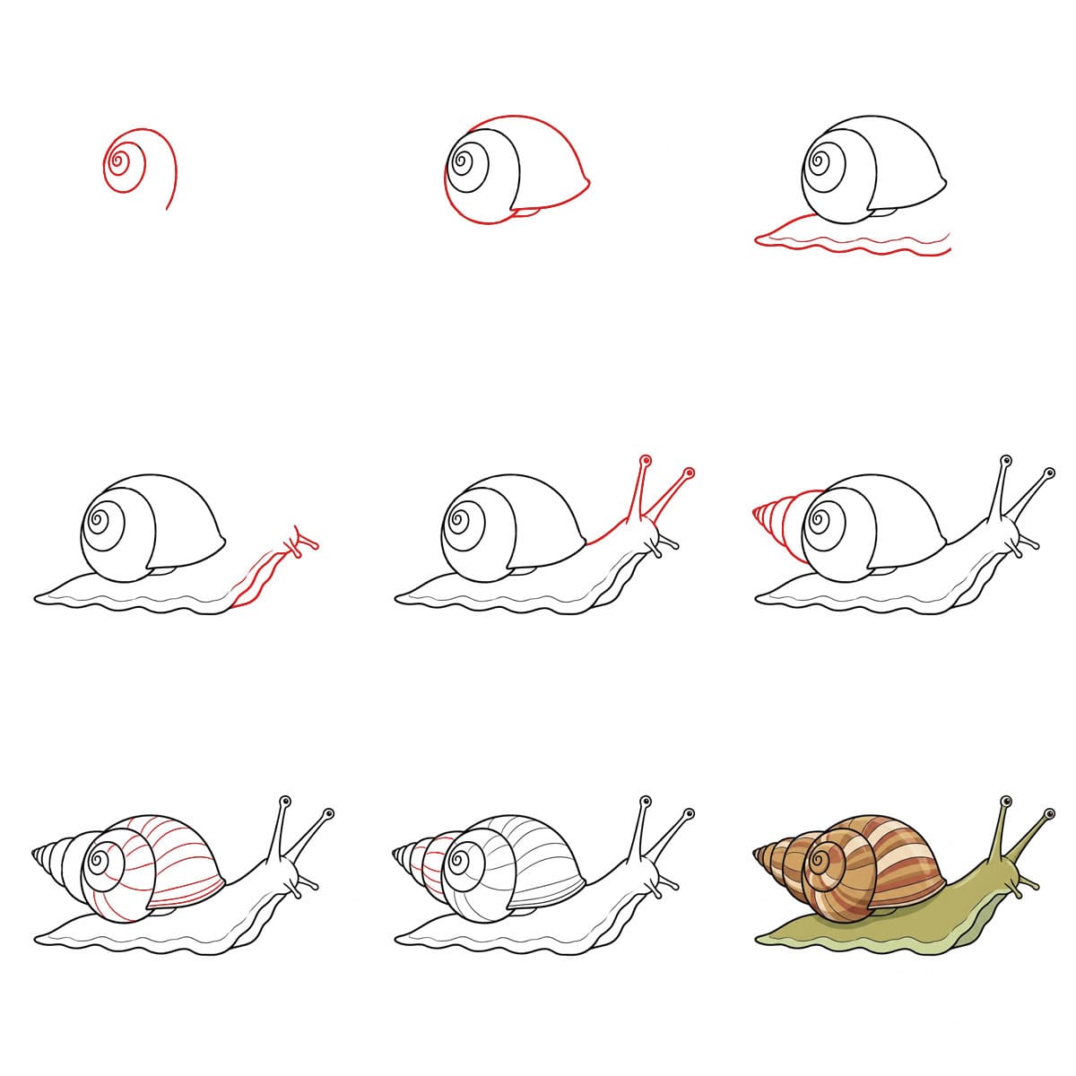 Cute Snail Drawing Ideas